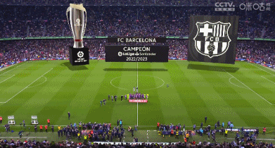 卡马文加在圣马梅斯的光芒与遗憾：进球后遭遇伤病打击